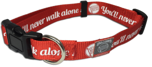 Hundehalsband Hundehalsband