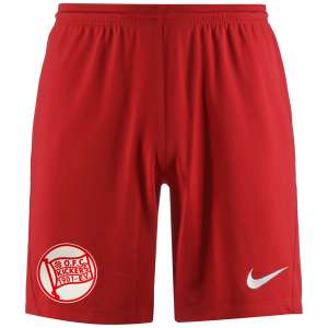 Nike Hose "Auswärts" 25/26